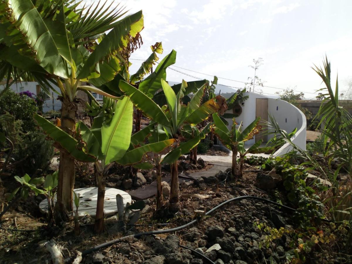 Eco Camping Nueva Vida Guest House Chío Екстериор снимка