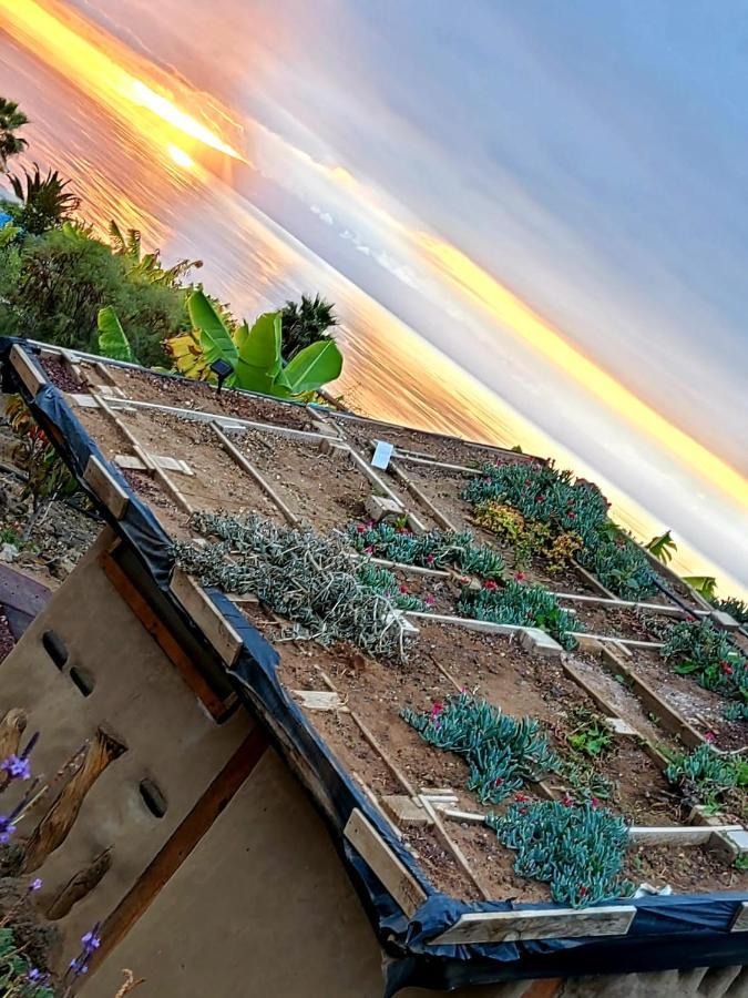 Eco Camping Nueva Vida Guest House Chío Екстериор снимка