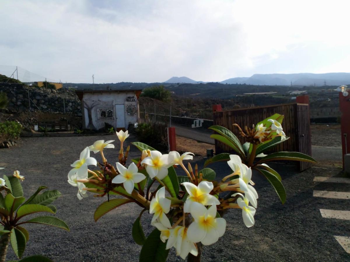 Eco Camping Nueva Vida Guest House Chío Екстериор снимка