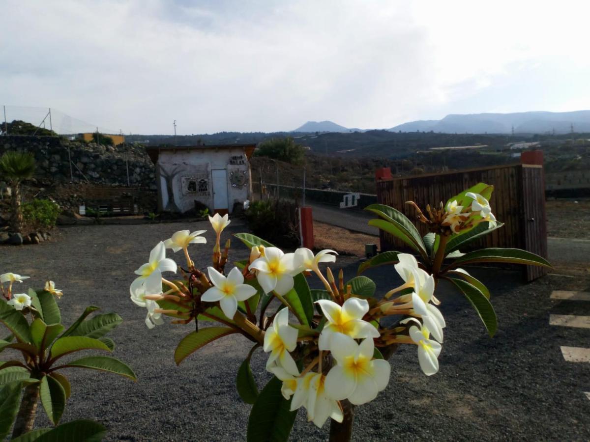 Eco Camping Nueva Vida Guest House Chío Екстериор снимка